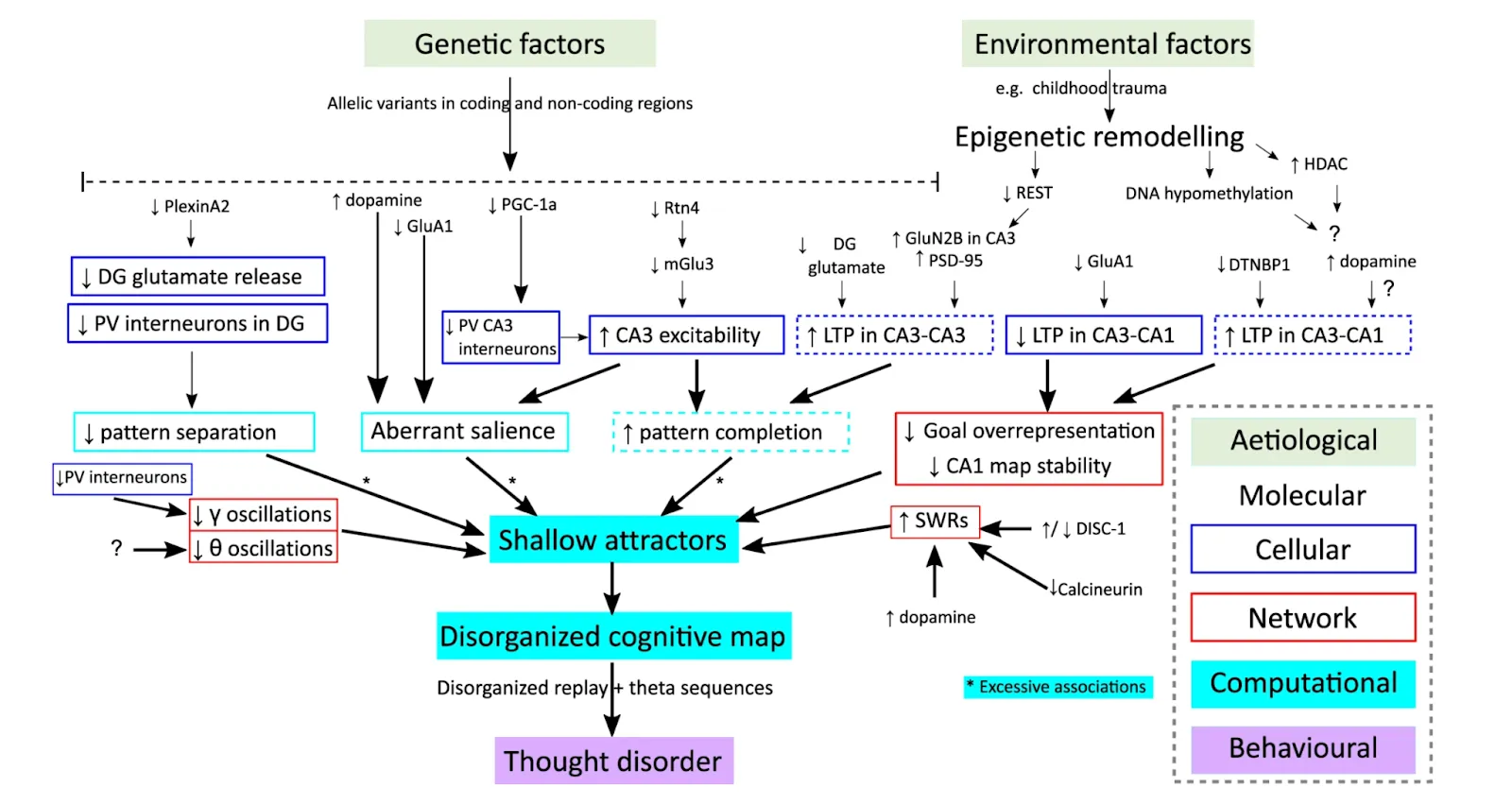 Figure 3: Processes forming thought disorder (Musa et al., 2022)